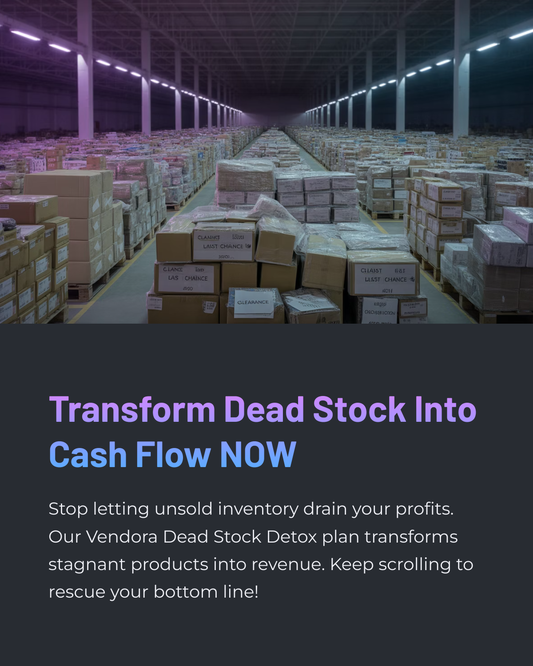 Vendora Dead Stock Detox – Inventory Clearance Plan